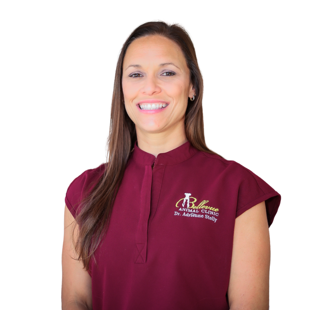 Dr. Adrienne Stelly